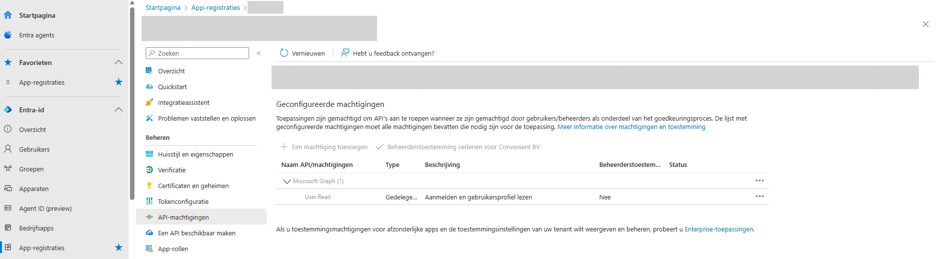 Api machtigingen instellen in Microsoft Entra